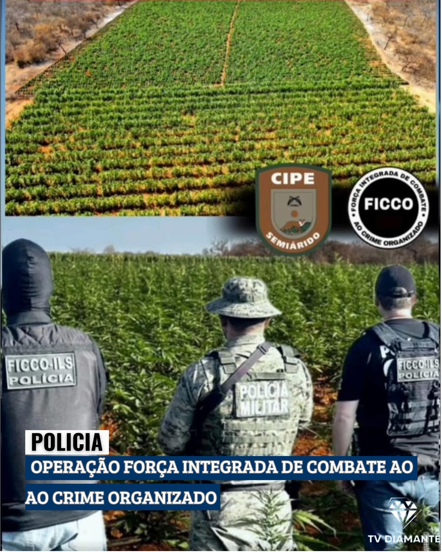 POLICIA:OPERAÇÃO FORÇA INTEGRADA DE COMBATE AO CRIME ORGANIZADO