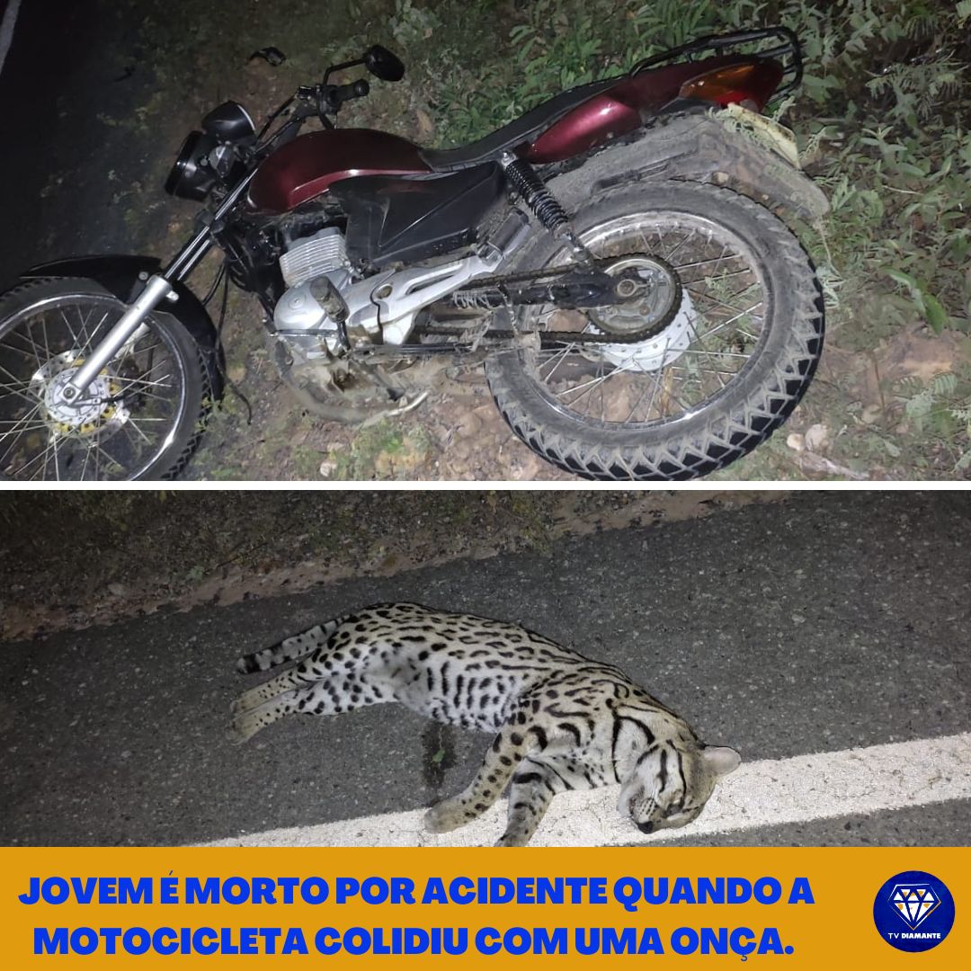 JOVEM É  MORTO POR ACIDENTE  QUANDO A MOTOCICLETA  COLIDIU COM UMA ONÇA.
