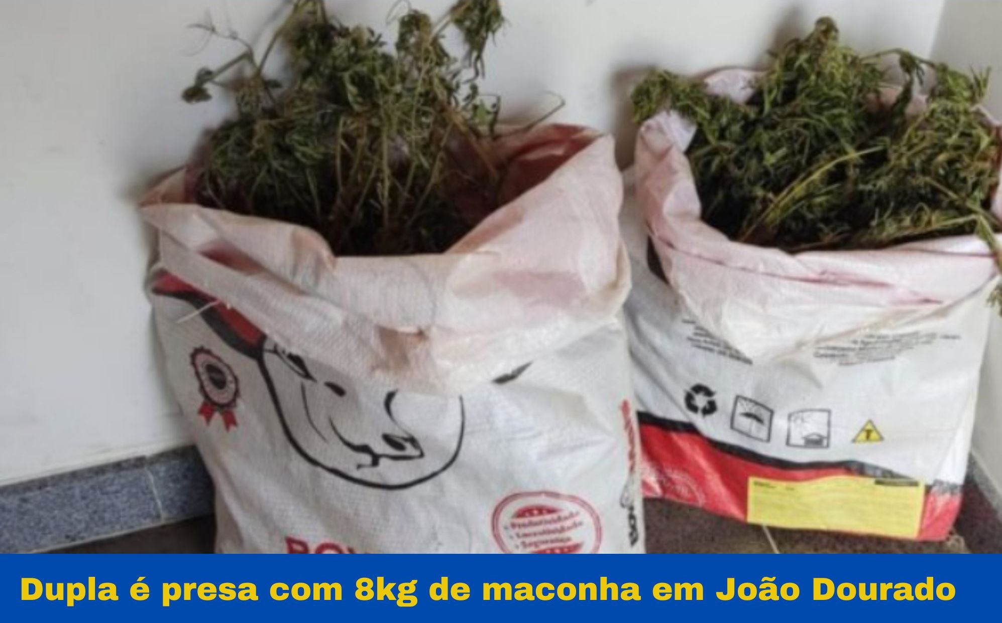 JOÃO DOURADO;Dupla é presa com 8kg de maconha em João Dourado