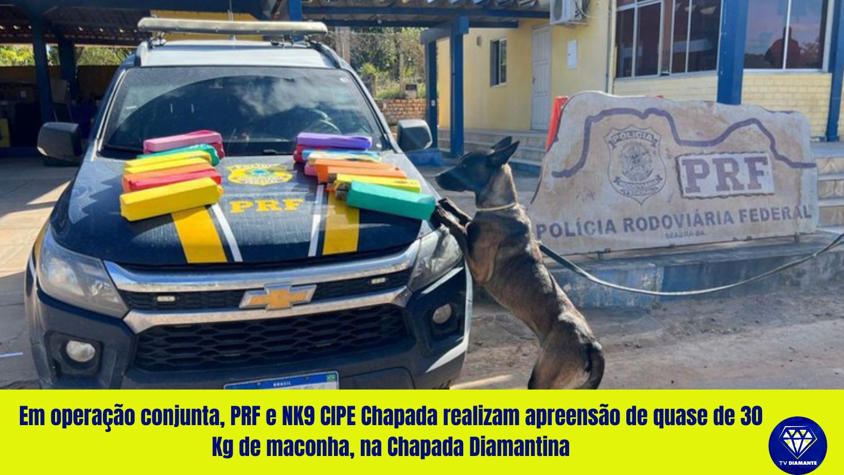 Em operação conjunta, PRF e NK9 CIPE Chapada realizam apreensão de quase de 30 Kg de maconha, na Chapada Diamantina
